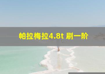 帕拉梅拉4.8t 刷一阶